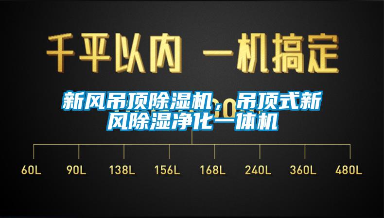 新風(fēng)吊頂除濕機，吊頂式新風(fēng)除濕凈化一體機