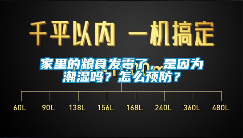 家里的糧食發(fā)霉了，是因?yàn)槌睗駟?？怎么預(yù)防？