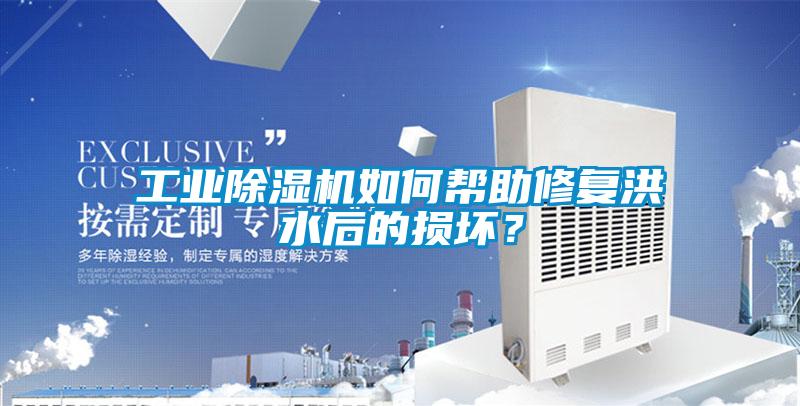 工業(yè)除濕機如何幫助修復洪水后的損壞？