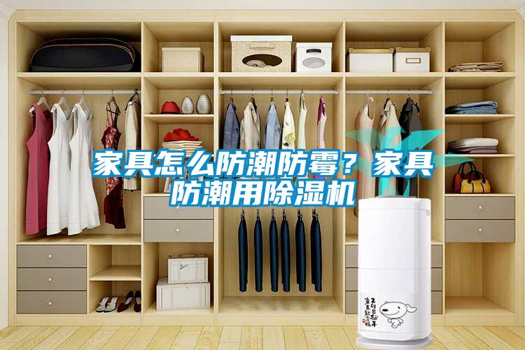 家具怎么防潮防霉？家具防潮用除濕機(jī)