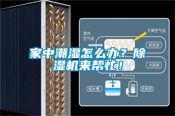 家中潮濕怎么辦？除濕機來幫忙！