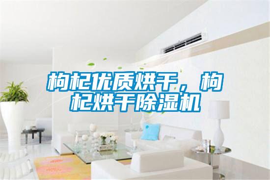 枸杞優(yōu)質(zhì)烘干，枸杞烘干除濕機(jī)