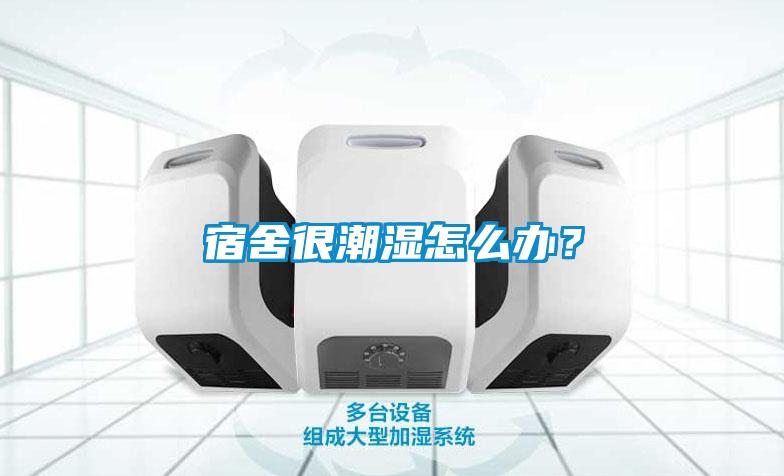 宿舍很潮濕怎么辦？