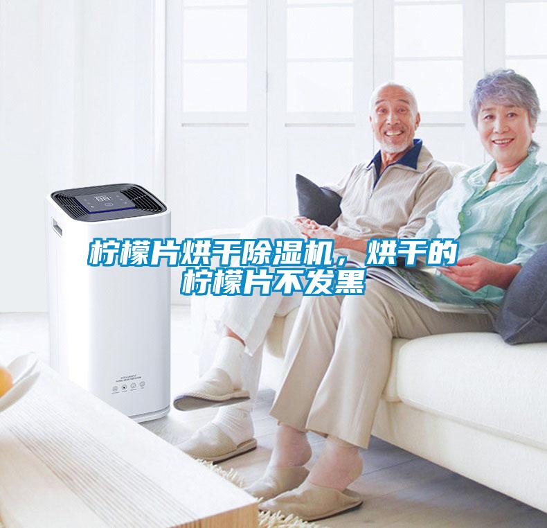 檸檬片烘干除濕機(jī)，烘干的檸檬片不發(fā)黑