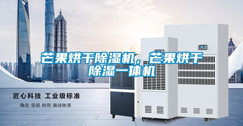 芒果烘干除濕機(jī)，芒果烘干除濕一體機(jī)