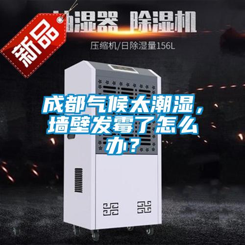 成都氣候太潮濕，墻壁發(fā)霉了怎么辦？