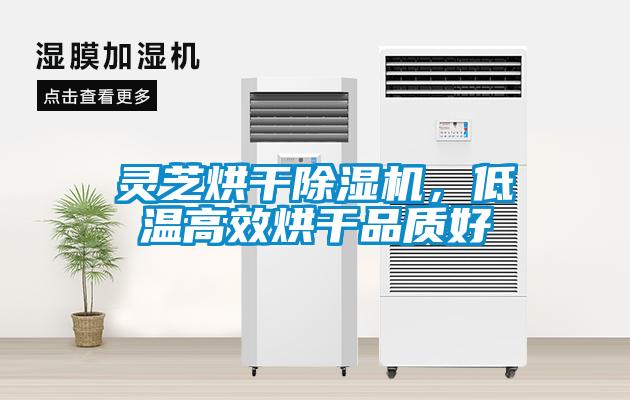 靈芝烘干除濕機(jī)，低溫高效烘干品質(zhì)好