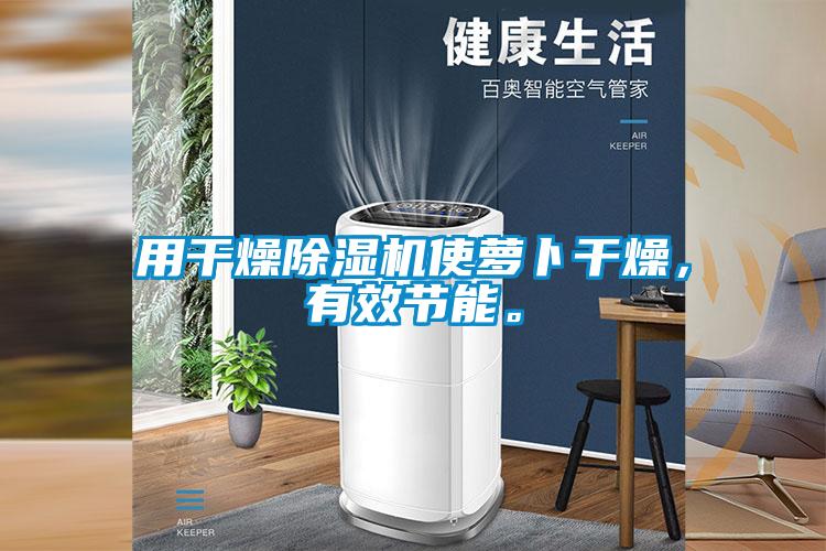 用干燥除濕機使蘿卜干燥，有效節(jié)能。