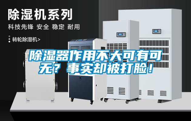 除濕器作用不大可有可無？事實卻被打臉！