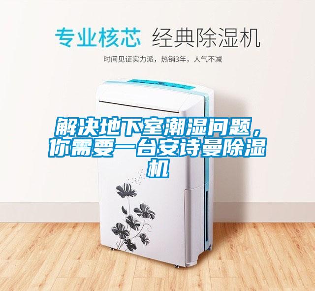 解決地下室潮濕問題，你需要一臺安詩曼除濕機