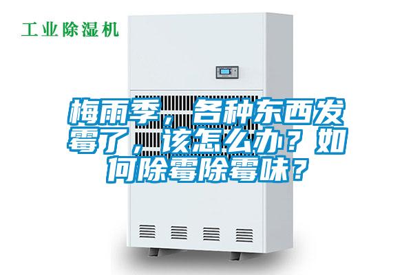 梅雨季，各種東西發(fā)霉了，該怎么辦？如何除霉除霉味？
