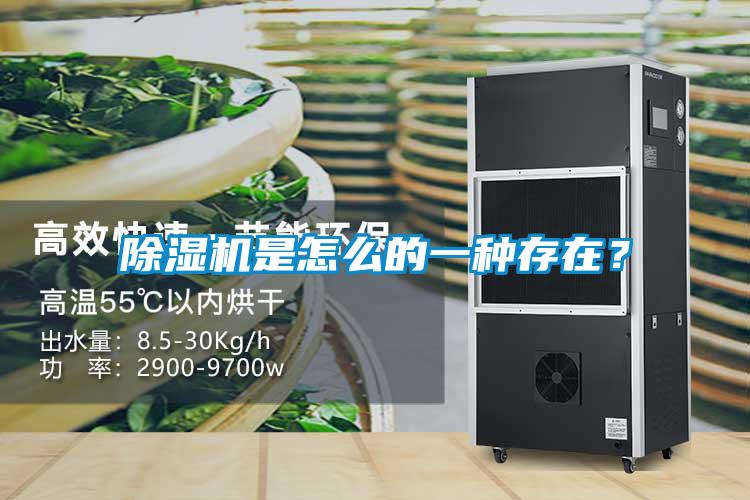 除濕機(jī)是怎么的一種存在？