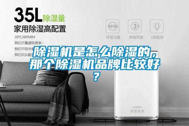 除濕機(jī)是怎么除濕的，那個(gè)除濕機(jī)品牌比較好？