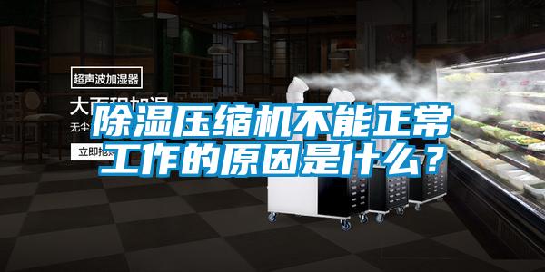 除濕壓縮機(jī)不能正常工作的原因是什么？
