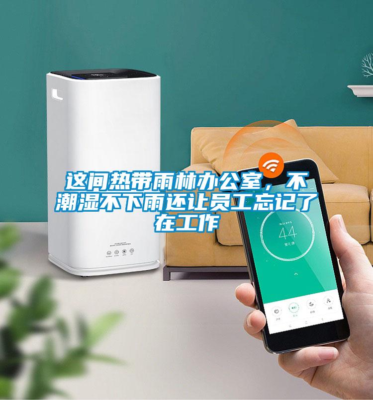 這間熱帶雨林辦公室，不潮濕不下雨還讓員工忘記了在工作