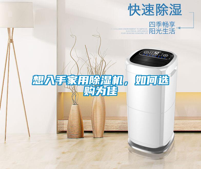 想入手家用除濕機，如何選購為佳