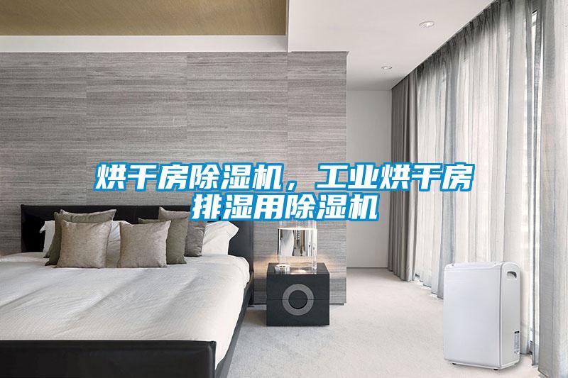 烘干房除濕機(jī)，工業(yè)烘干房排濕用除濕機(jī)