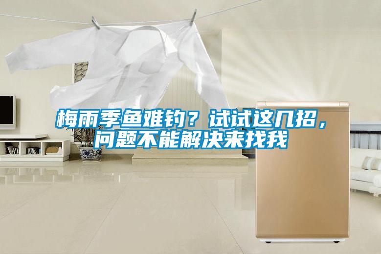梅雨季魚(yú)難釣？試試這幾招，問(wèn)題不能解決來(lái)找我