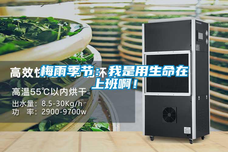 梅雨季節(jié)：我是用生命在上班?。?/></p>
						    <p style=