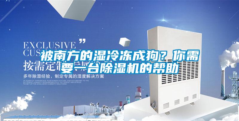 被南方的濕冷凍成狗？你需要一臺除濕機的幫助