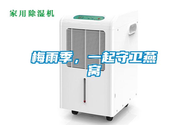 梅雨季，一起守衛(wèi)燕窩