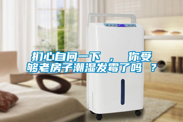 捫心自問一下 ， 你受夠老房子潮濕發(fā)霉了嗎 ？