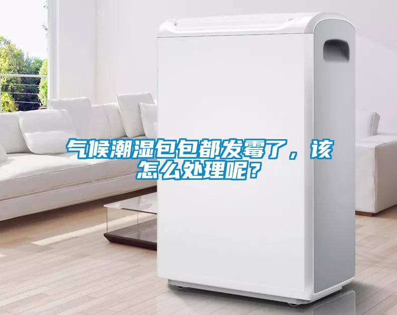 氣候潮濕包包都發(fā)霉了，該怎么處理呢？