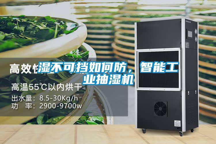 濕不可擋如何防，智能工業(yè)抽濕機(jī)