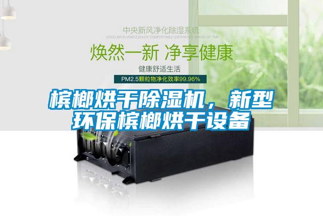 檳榔烘干除濕機(jī)，新型環(huán)保檳榔烘干設(shè)備