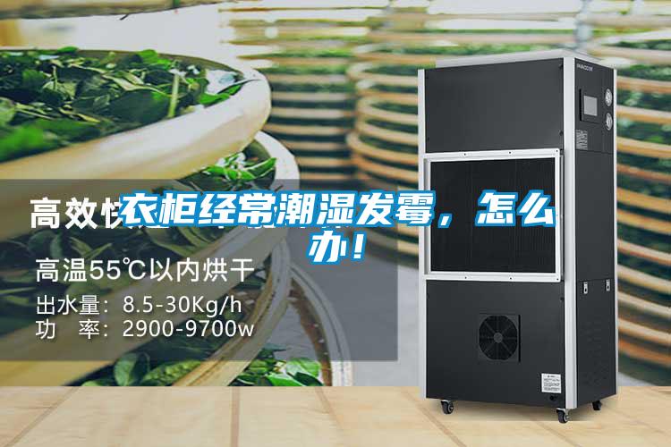 衣柜經(jīng)常潮濕發(fā)霉，怎么辦！