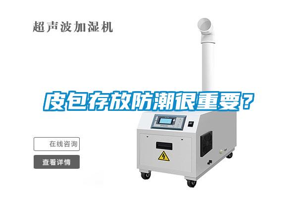 皮包存放防潮很重要？
