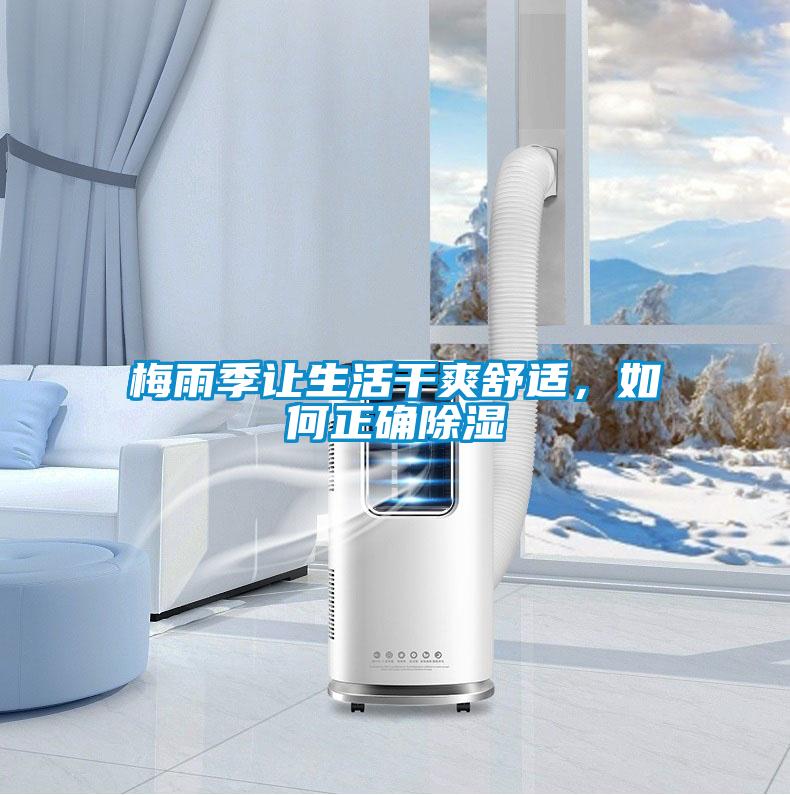 梅雨季讓生活干爽舒適，如何正確除濕