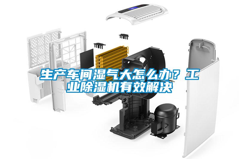 生產(chǎn)車間濕氣大怎么辦？工業(yè)除濕機(jī)有效解決