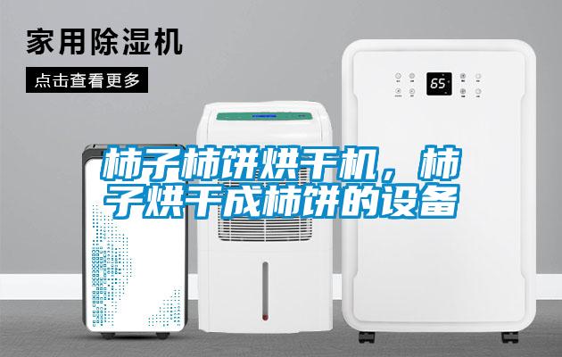 柿子柿餅烘干機(jī),柿子烘干成柿餅的設(shè)備