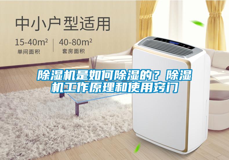 除濕機是如何除濕的？除濕機工作原理和使用竅門