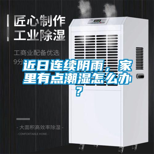 近日連續(xù)陰雨，家里有點(diǎn)潮濕怎么辦？