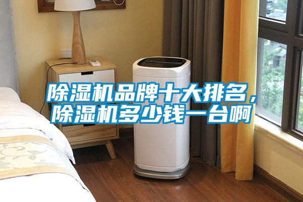 除濕機(jī)品牌十大排名，除濕機(jī)多少錢(qián)一臺(tái)啊