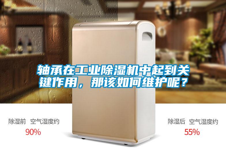 軸承在工業(yè)除濕機(jī)中起到關(guān)鍵作用，那該如何維護(hù)呢？