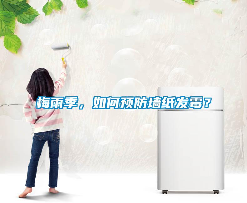 梅雨季，如何預(yù)防墻紙發(fā)霉？
