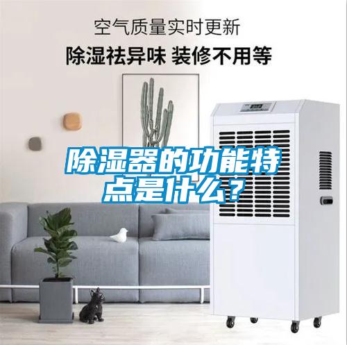 除濕器的功能特點(diǎn)是什么？