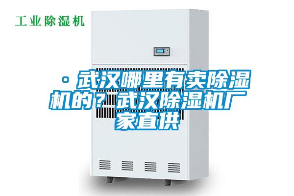 ·武漢哪里有賣除濕機的？武漢除濕機廠家直供