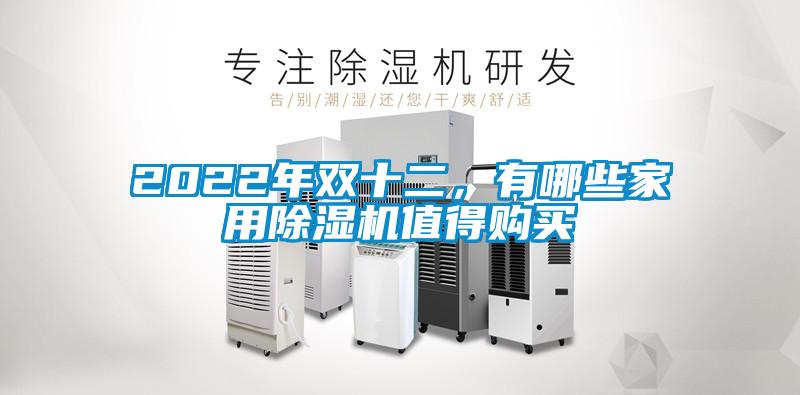 2022年雙十二，有哪些家用除濕機值得購買
