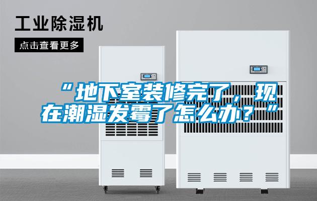 “地下室裝修完了，現(xiàn)在潮濕發(fā)霉了怎么辦？”