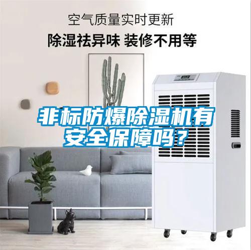 非標防爆除濕機有安全保障嗎？