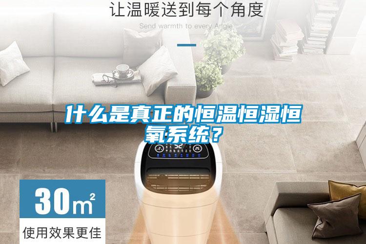 什么是真正的恒溫恒濕恒氧系統(tǒng)？