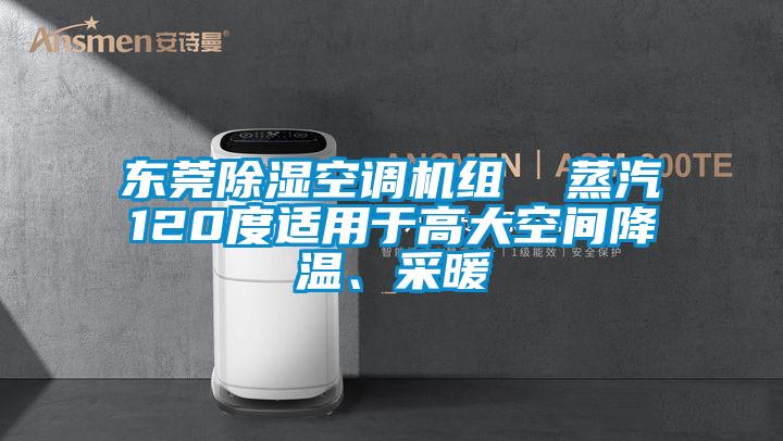 東莞除濕空調(diào)機組  蒸汽120度適用于高大空間降溫、采暖