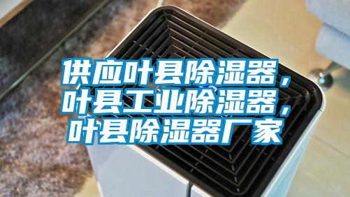 供應(yīng)葉縣除濕器，葉縣工業(yè)除濕器，葉縣除濕器廠家