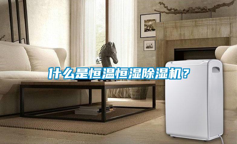 什么是恒溫恒濕除濕機(jī)？