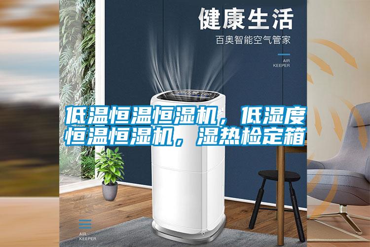 低溫恒溫恒濕機，低濕度恒溫恒濕機，濕熱檢定箱