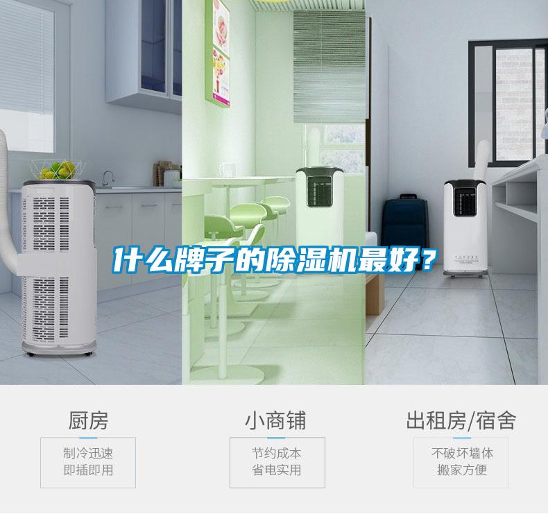什么牌子的除濕機(jī)最好？